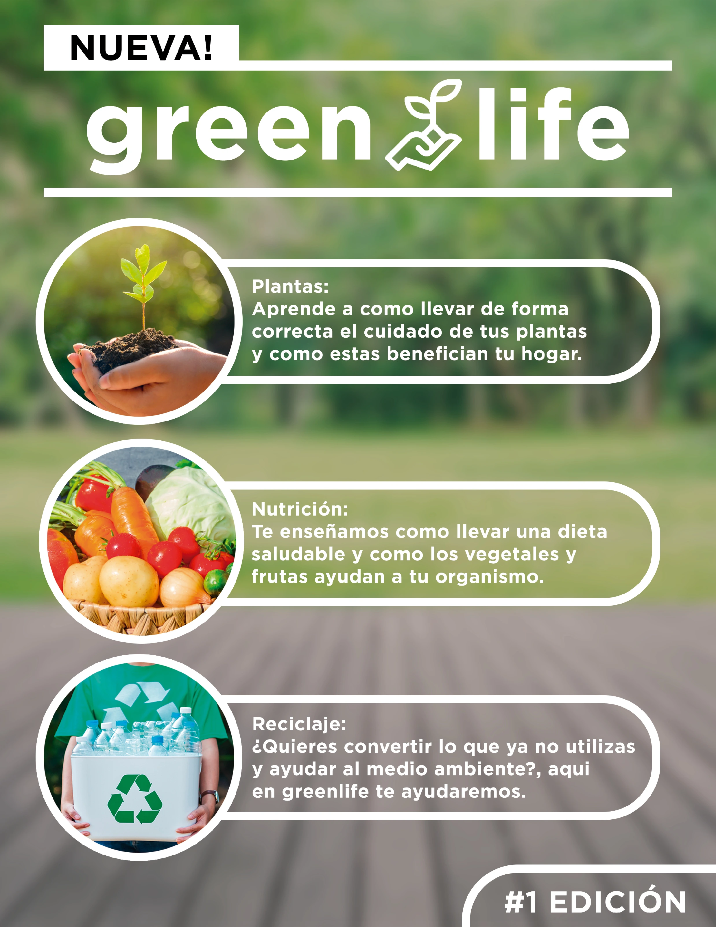 Revista de Jardinería
